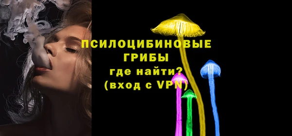 ECSTASY Абинск