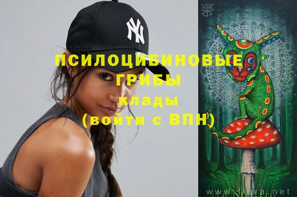Альфа ПВП Абаза